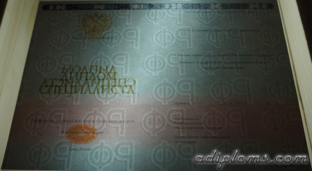 Диплом специалиста 2014-2026 Фото