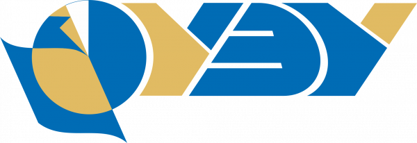 Купить диплом НГУЭУ